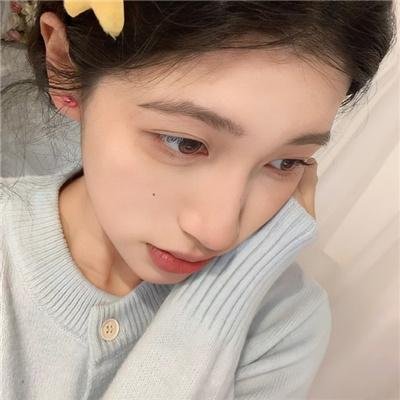虚假的借口封面